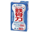 九州乳業 鉄骨力 125ml紙パック×36本入×(2ケース)｜ 送料無料 豆乳・乳性飲料 乳性 乳飲料 カルシウム 鉄