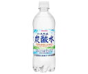 サンガリア 伊賀の天然水 炭酸水 500mlペットボトル 24本入｜ 送料無料 炭酸飲料 炭酸水 ソーダ 割り材 PET