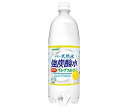 サンガリア 伊賀の天然水 強炭酸水 グレープフルーツ 1Lペットボトル 12本入｜ 送料無料 炭酸飲料 炭酸水 ソーダ PET