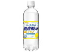 サンガリア 伊賀の天然水 強炭酸水 レモン 500mlペットボトル 24本入｜ 送料無料 炭酸飲料 炭酸水 ソーダ 割り材 PET 強炭酸