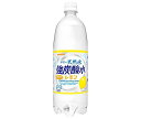 サンガリア 伊賀の天然水 強炭酸水 レモン 1Lペットボトル 12本入｜ 送料無料 炭酸飲料 炭酸水 強炭酸 PET