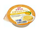 かぼちゃプリン ホリカフーズ 栄養支援 かぼちゃのプリン 54g×36個入×(2ケース)｜ 送料無料 健康食品 栄養補給 プリン