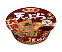 明星食品 明星庵 天ぷらそば 大盛 112g×12個入| 送料無料 インスタント食品 即席麺 カップめん 蕎麦 大盛り
