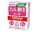 南日本酪農協同 デーリィ カル鉄飲料 ピーチ 200ml紙パック×18本入×(2ケース)| 送料無料 栄養機能食品 カルシウム 鉄分 もも