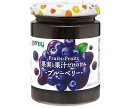 カンピー Fuits×Fruits ブルーベリー 260g瓶×12個入×(2ケース)| 送料無料 一般食品 スプレッド ジャム 瓶 ブルーベリー