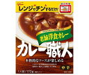 江崎グリコ カレー職人 老舗洋食カレー中辛 170g×10個入×(2ケース)| 送料無料 一般食品 カレー 保存食 レトルト