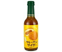 木村飲料 カレーパンサイダー 240ml瓶×20本入×(2ケース)| 送料無料 炭酸飲料 サイダー 菓子パン