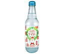 木村飲料 私のお願いかなえてくだサイダー 340ml瓶×20本入×(2ケース)| 送料無料 炭酸飲料 サイダー
