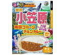 ハチ食品 るるぶ×Hachiコラボシリーズ 東京 小笠原 南国フルーツチキンカレー 180g×20個入×(2ケース)| 送料無料 レトルト カレー カレーライス 小笠原 南国 フルーツ