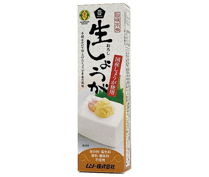 ムソー 旨味本来 生しょうが(チューブ入り) 40g×10本入×(2ケース)｜ 送料無料 調味料 しょうが 生 チューブ