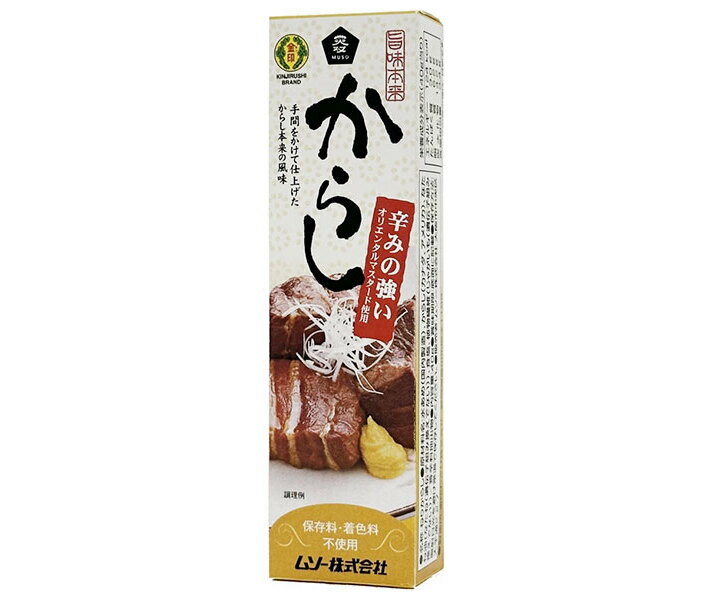 ムソー 旨味本来 からし(チューブ入り) 40g×10本入×(2ケース)｜ 送料無料 調味料 からし チューブ