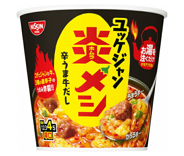 日清食品 日清炎メシ 辛うまユッケジャン 106g×6個入｜ 送料無料 一般食品 インスタント食品