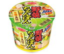 エースコック スーパーカップミニ 野菜ちゃんぽん 42g×12個入| 送料無料 インスタント食品 カップ麺 カップラーメン