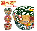 日清食品 日清のどん兵衛ミニ 選べる2ケースセット ×24(12×2)個入| 送料無料 きつねうどん 天ぷらそば 肉うどん インスタント麺 即席