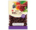 共立食品 製菓用 果実レーズン 140g×6袋入| 送料無料 お菓子 ドライフルーツ 干しぶどう 乾燥果物 葡萄