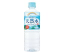 チェリオ 鈴鹿山系の天然水 600mlペットボトル×24本入×(2ケース)| 送料無料 水 天然水 ミネラルウォーター