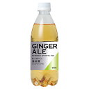 友桝飲料 ジンジャーエール 500mlペットボトル×24本入| 送料無料 炭酸 強炭酸 ジンジャー ショウガ しょうが 割り材