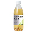 友桝飲料 ジンジャーエール 500mlペットボトル×24本入×(2ケース)| 送料無料 炭酸 強炭酸 ジンジャー ショウガ しょうが 割り材