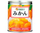 楽園果実 みかん 350g×24個入| 送料無料 みかん オレンジ ミカン 果実 果物 フルーツ