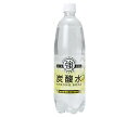 友桝飲料 強炭酸水レモン 1Lペットボトル×15本入×(2ケース)| 送料無料 炭酸飲料 炭酸水 ソーダ PET 割り材 レモン 1000ml 1l