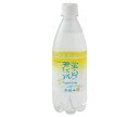 友桝飲料 蛍の郷の天然水 スパークリングレモン 500mlペットボトル×24本入×(2ケース)| 送料無料 炭酸飲料 レモン系 PET 割り材 炭酸水