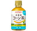 ポッカサッポロ 北海道コーン茶 HOT&COLD 275mlペットボトル×24本入×(2ケース)| 送料無料 健康茶 PET とうもろこし茶
