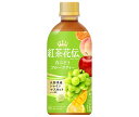 コカコーラ 紅茶花伝 CRAFTEA(クラフティー) 白ぶどうフルーツティー 440mlペットボトル×24本入×(2ケース)| 送料無料 ぶどう 紅茶 果汁 フ...