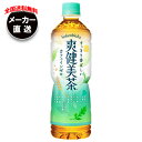 コカコーラ 爽健美茶 600mlペットボトル×24本入×(2ケース) メーカー直送|全国送料無料 お茶 ペットボトル 爽健美茶 カフェインレス