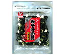 ヤマナカフーズ とうふ入り みそ汁の具 30g×10袋入×(2ケース)| 送料無料 乾物 わかめ ねぎ とうふ 惣菜 具材
