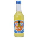 友桝飲料 塩&パインサイダー 245ml瓶×24本入×(2ケース)| 送料無料 サイダー 果汁 パイン 塩