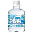 HARUNA(ハルナ) オモテナシ 天然水 300mlペットボトル×24本入×(2ケース)| 送料無料 水 PET ミネラルウォーター