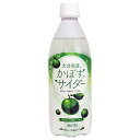 JAフーズ大分 かぼすのサイダー 495mlペットボトル×24本入| 送料無料 果実飲料 炭酸飲料 PET カボス