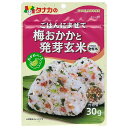 田中食品 ごはんにまぜて 梅おかかと発芽玄米 30g×10袋入| 送料無料 ふりかけ チャック袋 調味料 まぜごはんの素