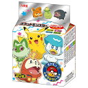 丸美屋 ポケモン ふりかけミニパック 50g×10袋入×(2ケース)| 送料無料 一般食品 調味料 ふりかけ