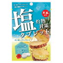 赤穂化成 灼熱対策 塩タブレット パイン味 28g×80(8×10)袋入×(2ケース)| 送料無料 お菓子 タブレット 袋 塩分補給 クエン酸