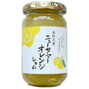 伊豆フェルメンテ ニューサマーオレンジジャム 180g×12個入×(2ケース)| 送料無料 フルーツ 果物 ジャム マーマレード