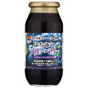 加藤美蜂園 はちみつブルーベリー 650g瓶×6本入×(2ケース)| 送料無料 嗜好品 シロップ 瓶 ハチミツ 蜂蜜 プルーベリー&ハニー