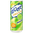 サンガリア はじけてメロンソーダ 250g缶×30本入| 送料無料 炭酸飲料 メロン 缶 ソーダ