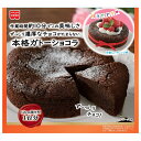 共立食品 本格ガトーショコラキット 170g×5袋入| 送料無料 袋 製菓材料 菓子材料 ガトーショコラ