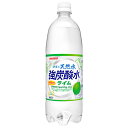 サンガリア 伊賀の天然水 強炭酸水 ライム 1Lペットボトル×12本入×(2ケース)| 送料無料 ライム 炭酸飲料 スパークリング 天然水