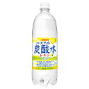 サンガリア 伊賀の天然水 炭酸水 レモン 1Lペットボトル×12本入×(2ケース)| 送料無料 炭酸水 炭酸 ソーダ 割り材 天然水 スパークリング