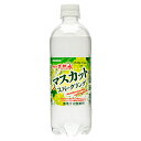 サンガリア 伊賀の天然水 マスカットスパークリング 500mlペットボトル×24本入×(2ケース)| 送料無料 マスカット ぶどう ブドウ 炭酸 炭酸水