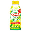 サンガリア つぶみ 白ぶどう 380gボトル缶×24本入| 送料無料 果粒入り 果汁飲料 グレープ