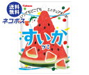 ネコポス カバヤ すいかグミ 50g×10袋入| 全国送料無料 お菓子 グミ 袋 すいか