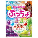 UHA味覚糖 ぷっちょ袋 4種アソート 88g×6個入×(2ケース)| 送料無料 お菓子 ソフトキャンディ アソート