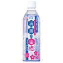 サンA 満潮の塩梅 490mlペットボトル×24本入| 送料無料 清涼飲料水 塩 梅風味 PET