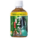 サンA 濃い味釜炒り茶 280mlペットボトル×24本入×(2ケース)| 送料無料 お茶飲料 釜炒り茶 PET