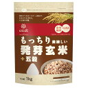 はくばく もっちり美味しい 発芽玄米+五穀 1kg×6袋入×(2ケース)| 送料無料 一般食品 発芽玄米 玄米 五穀
