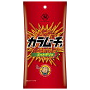 コイケヤ スリムバッグシリーズ スティックカラムーチョ ホットチリ味 34g×12(6×2)袋入×(2ケース)| 送料無料 お菓子 スナック菓子 スリムバッグシ...