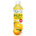 伊藤園 ニッポンエール 国産かんきつトリオ 400gペットボトル×24本入×(2ケース)| 送料無料 みかん かんきつ 国産 ブレンド ジュース